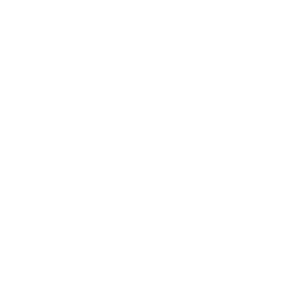 aidocampanili-logo
